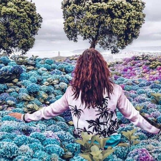 how-to-become-a-life-coach