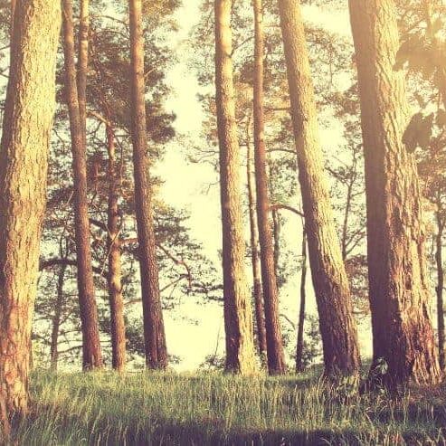 spiritual-counselling-jenny